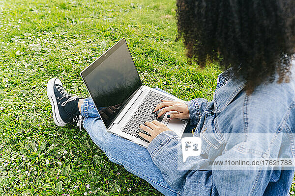 Woman using laptop sitting on meadow
