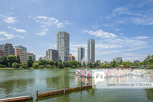 Japan  Kanto Region  Tokyo  Pedal boats moored on shore of Shinobazu Pond in summer