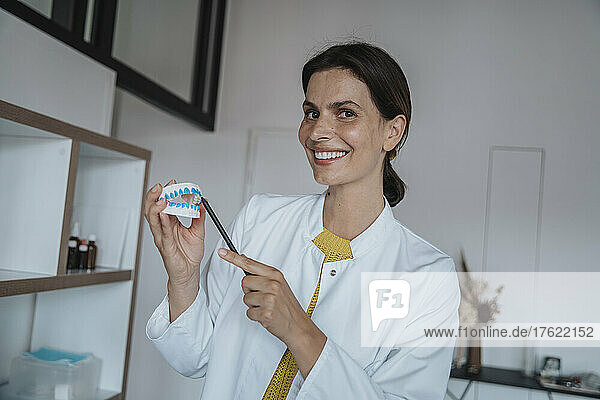 Smiling doctor holding denture model in clinic
