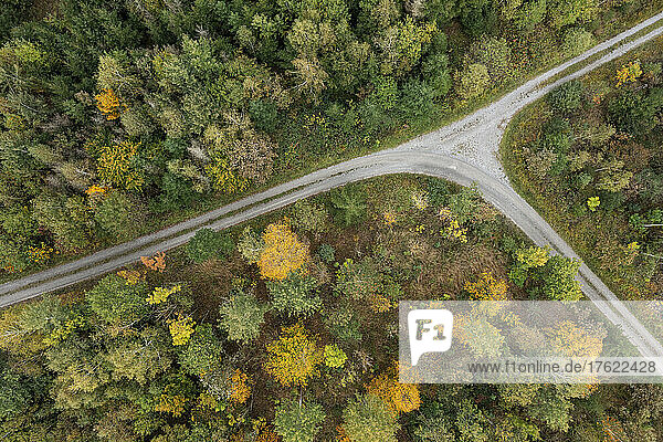 Drone view of dirt road cutting through green autumn forest