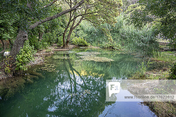 River amidst tree at Krka National Park  Sibenik-Knin  Croatia