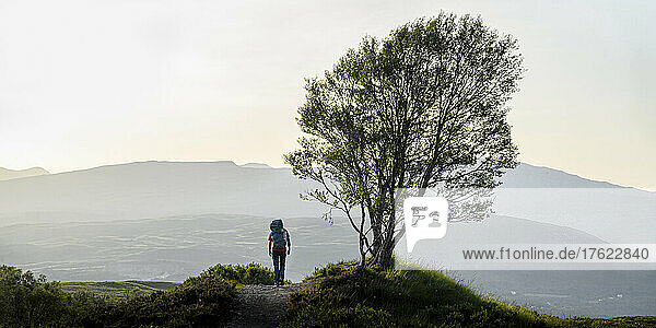 Woman with backpack walking on footpath by tree
