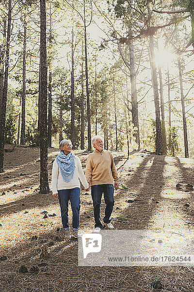 Senior couple holding hands walking in forest