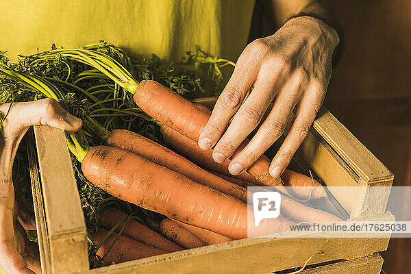 Man holding wooden crate with carrots