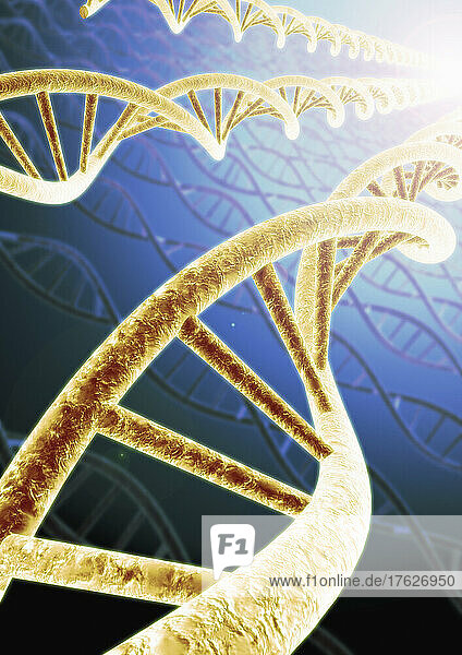 Reihen von DNA-Helices