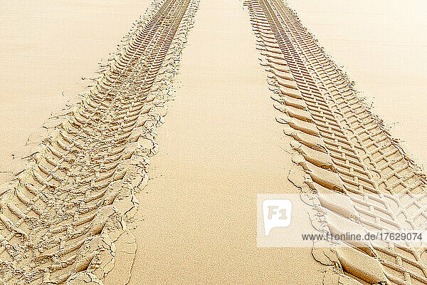Close up of big gear tire tracks on the beach.