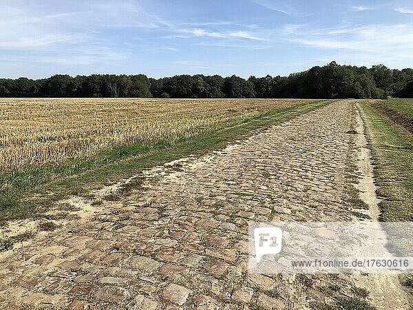 Cobbled path in the middle of fields in Picardy  Oigny-en-Valois  Hauts-de-France  France.