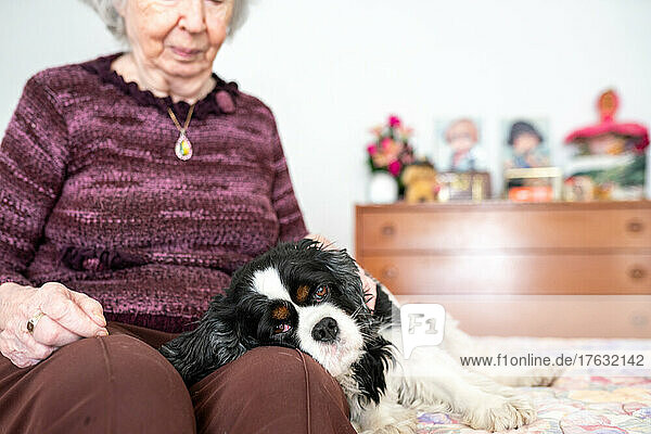 An octogenarian widow with her dog at the retirement home. Jacqueline refuses to leave Helsa  a King Charles who somewhat compensates for the loss of her husband last year.