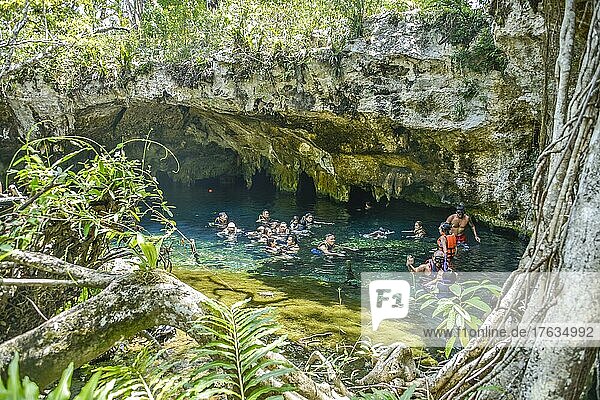 Grand Cenote  Tulum  Quintana Roo  Mexico  Central America