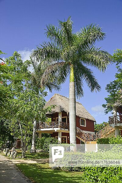Ferienhaus  Bungalow  Hotelanlage  Hacienda Sotuta de Peon  Yucatan  Mexiko  Mittelamerika