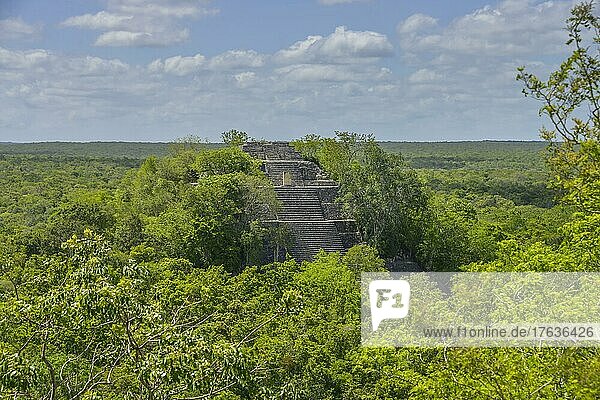 Pyramide Struktur I  Calakmul  Campeche  Mexiko  Mittelamerika