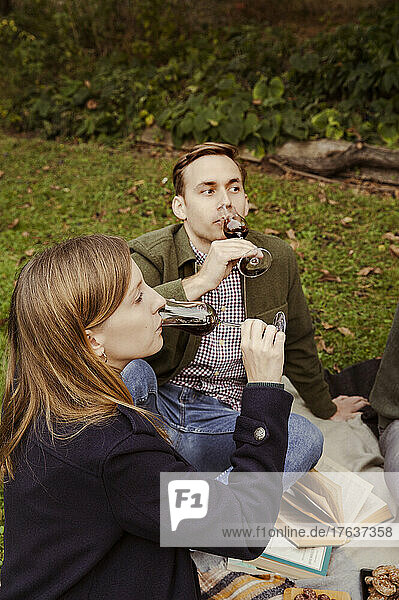 Friends drinking red wine at picnic in garden