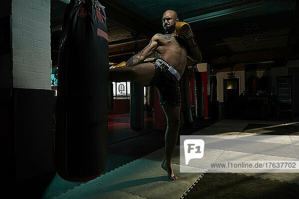 Shirtless boxer kicking punching bag in gym