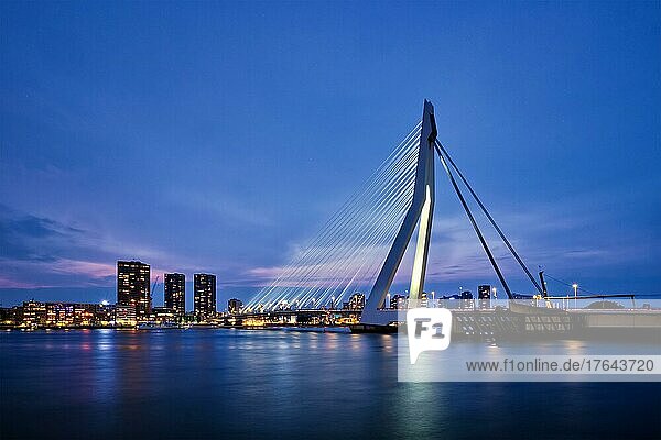 Erasmus Bridge (Erasmusbrug) and Rotterdam skyline illuminated at night. Rotterdam  Netherlands