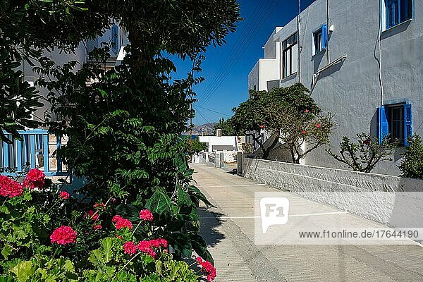 Street in Greek town with flowers. Pollonia village  Milos island  Greece  Europe