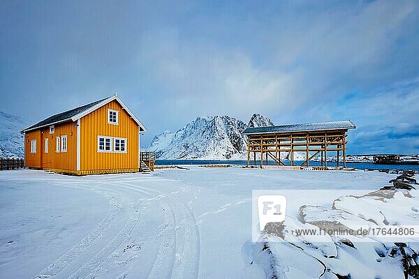 Traditional yellow rorbu house in drying flakes for stockfish cod fish in winter. Sakrisoy fishing village  Lofoten islands  Norway