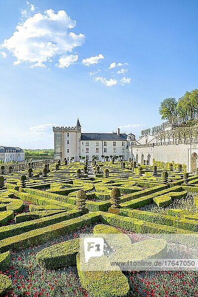 The Chateau and ornamental garden of Villandry  Frankreich  Europa