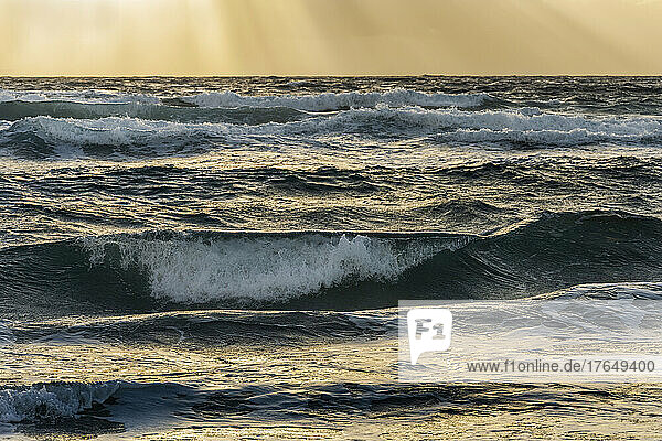 Ocean waves splashing in morning light