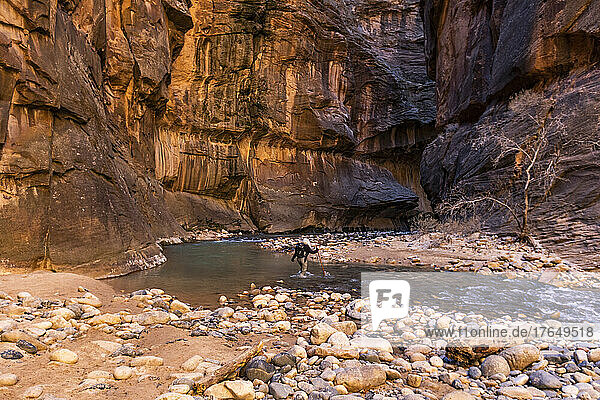 United States  Utah  Zion National Park  Rear view of senior female hiker wading The Narrows of Virgin River in Zion National Park