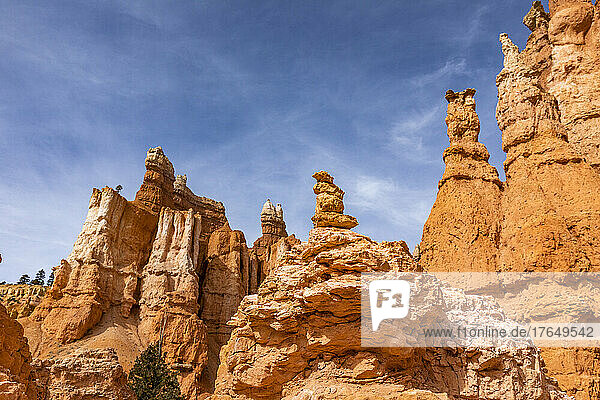 United States  Utah  Bryce Canyon National Park  Hoodoo rock formations in Bryce Canyon National Park