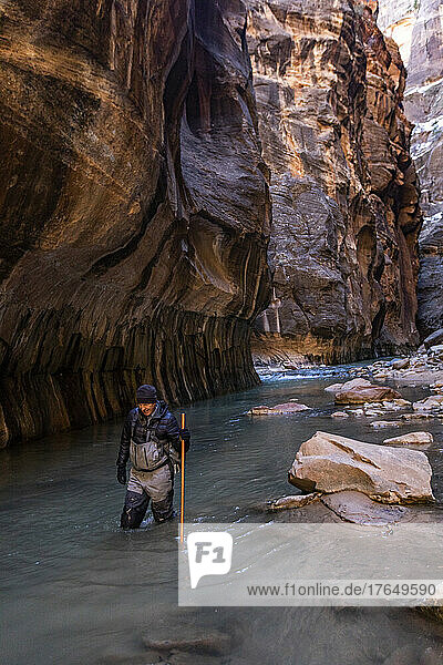 United States  Utah  Zion National Park  Senior hiker wading The Narrows of Virgin River in Zion National Park in winter
