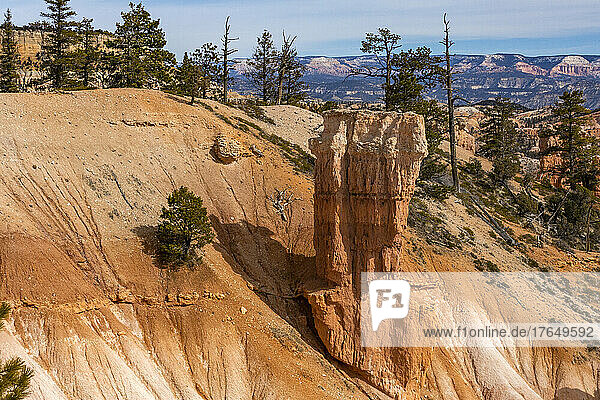 United States  Utah  Bryce Canyon National Park  Hoodoo rock formations in Bryce Canyon National Park