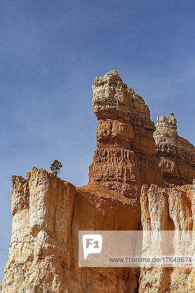 United States  Utah  Bryce Canyon National Park  Low angle view of hoodoo rock formations in Bryce Canyon National Park