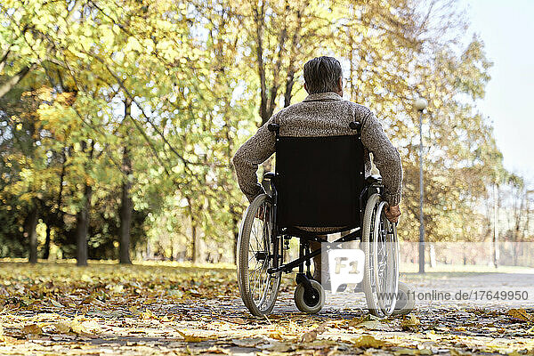 Disabled senior man sitting in wheelchair at autumn park