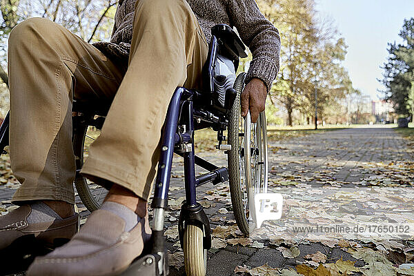 Disabled senior man sitting in wheelchair at autumn park