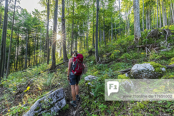 Hiker with backpack standing in forest