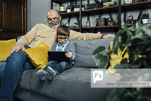 Boy wearing eyeglasses studying through tablet PC sitting by grandfather on sofa at home