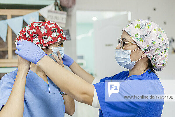 Healthcare worker helping colleague to wear protective face mask in veterinary clinic