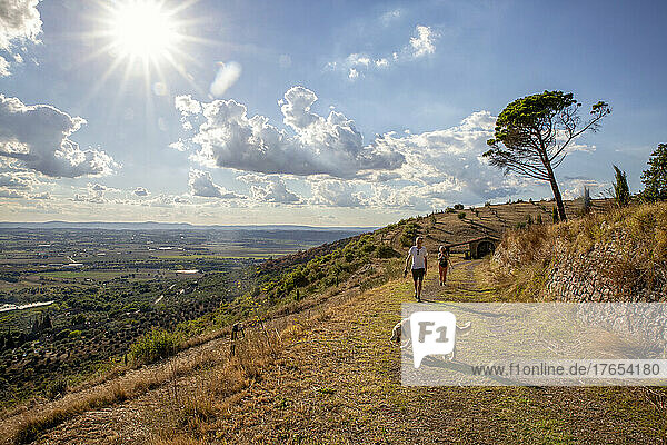 Man and woman with dog hiking on mountain  Castiglione del Lago  Umbria  Italy