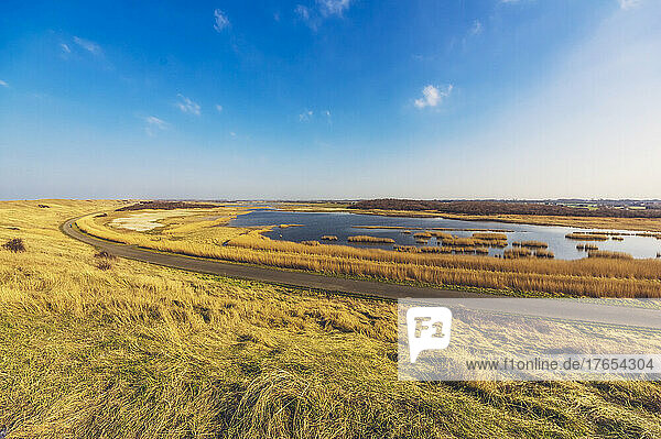 Netherlands  Zeeland  Road stretching along grassy wetland of Walcheren peninsula