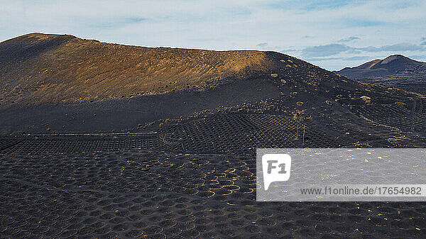 Spanien  Lanzarote  Luftaufnahme der Vulkanlandschaft des Weinbergs Bodega La Geria