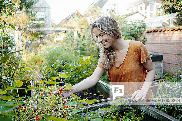 Smiling blond woman touching plants standing in backyard