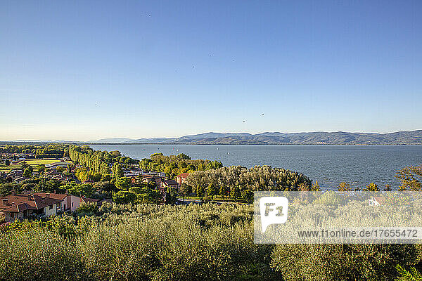 View of Trasimeno Lake on sunny day  Castiglione del Lago  Umbria  Italy