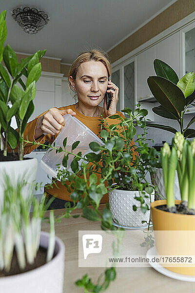 A nice woman waters indoor plants at home and talks on the phone.