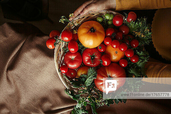 red and yellow tomatoes in a basket holding hands
