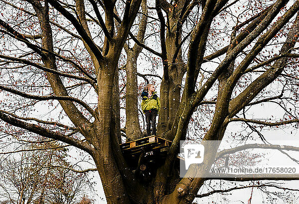 boy standing in a tree house in a huge tree in winter