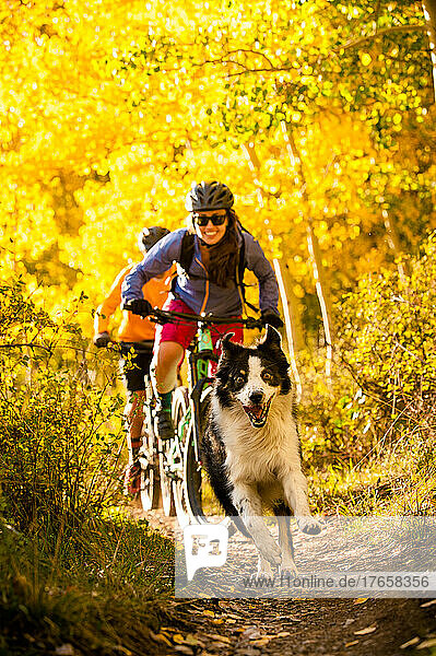 A couple enjoying a mountain bike ride in the fall with their dog
