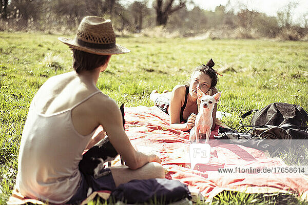 friends with chihuahua dogs talk outdoors at picnic in meadow sun