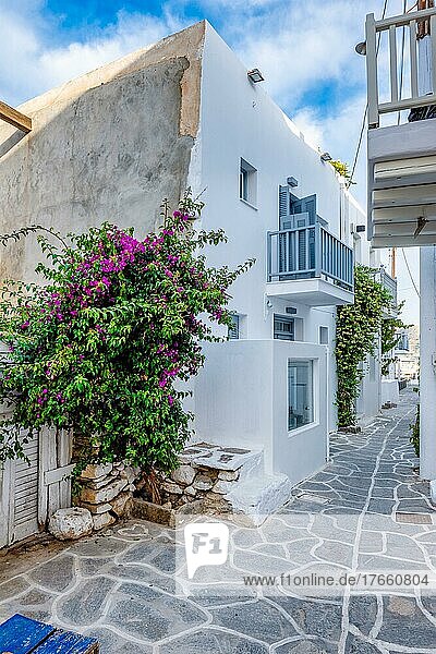 Picturesque narrow street with traditional whitewashed houses with blooming bougainvillea flowers of Naousa town in famous tourist attraction Paros island  Greece