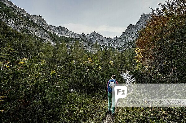 Wanderin auf einem Wanderweg  rüne Berglandschaft  Nuaracher Höhenweg  Loferer Steinberge  Tirol  Österreich  Europa