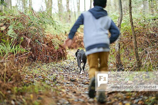 Boy chasing dog on trail in woods