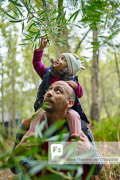 Father carrying daughter on shoulders under branch in woods