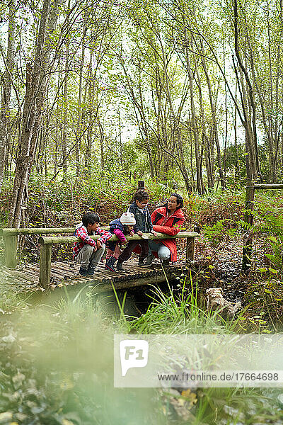Family on footbridge in woods