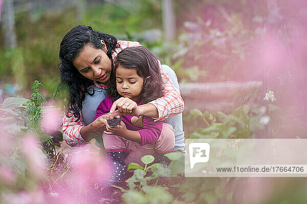 Mother and toddler daughter gardening