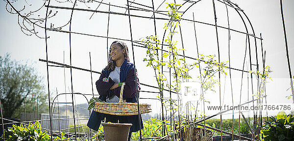 Junge Frau erntet Gemüse unter einem Spalier in einem sonnigen Garten