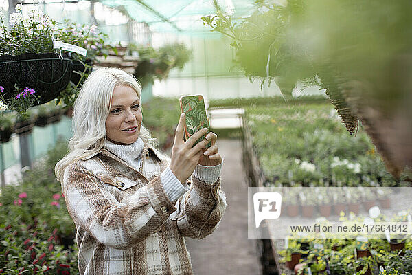 Woman with camera phone photographing hanging basket in garden shop